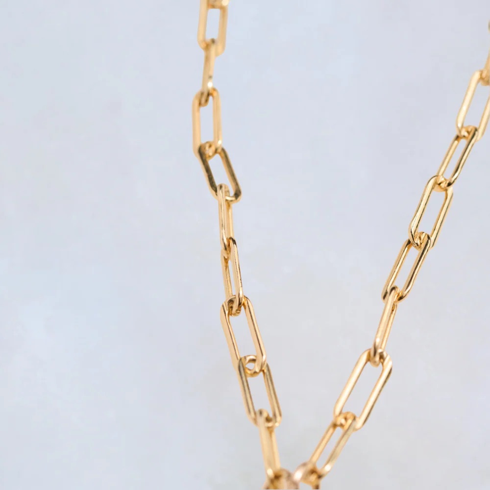Gold Paperclip Chain with Sennod Vignette Holder - Picture 2 of 9